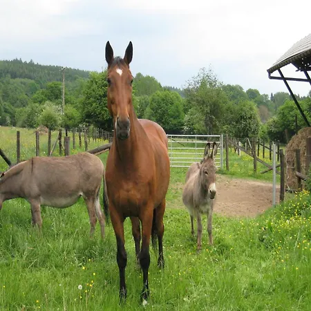 Charming In Ardennes, Cleaning Included Petit-Thier